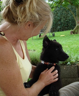 Alino de Geracao nova